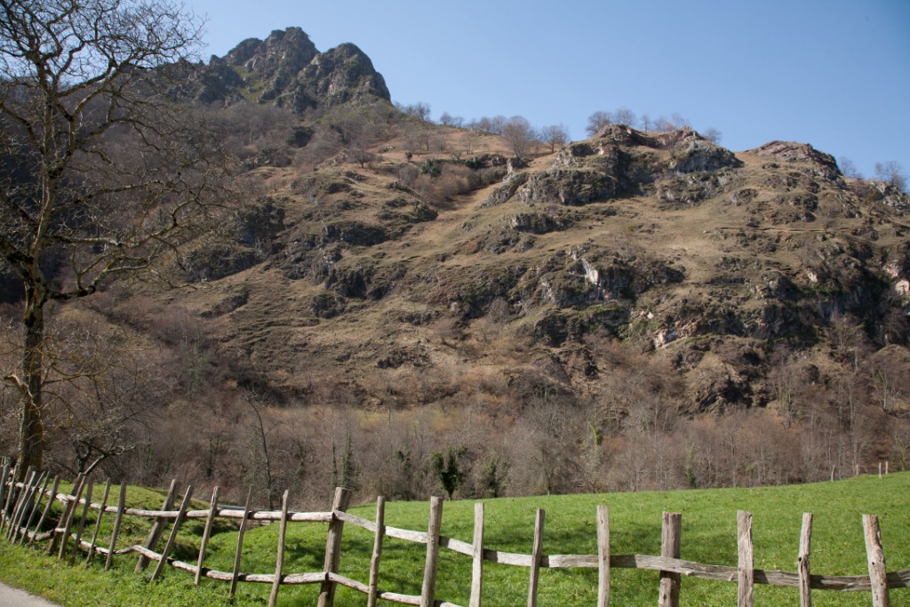 Montaña en Braña Tronco Montaña en Braña Tronco