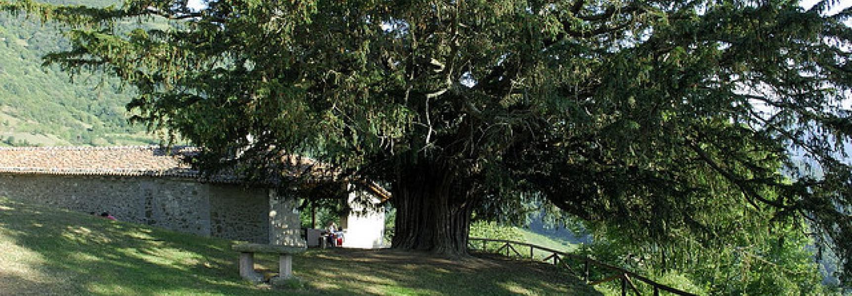 Tejo de Bermiego